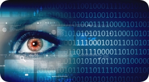 Seguridad Inform&aacute;tica al m&aacute;ximo nivel